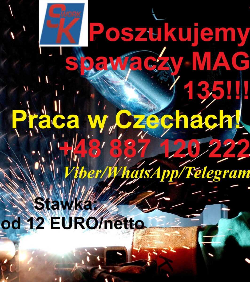 spawacz Czechy 2