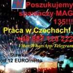 spawacz Czechy 2