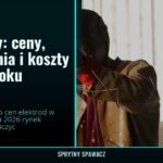 Elektrody: ceny, zestawienia i koszty w 2026 roku 3 Elektrody: ceny, zestawienia i koszty w 2026 roku — SprytnySpawacz.pl