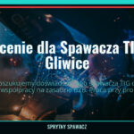 Zlecenie dla Spawacza TIG - Gliwice, SprytnySpawacz.pl