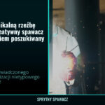 Zlecenie na unikalną rzeźbę metalową - kreatywny spawacz z doświadczeniem poszukiwany, SprytnySpawacz.pl