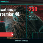 Bluza spawalnicza BLAUER, rozmiar 48, nowa, Kielce, 250 PLN/h, SprytnySpawacz.pl