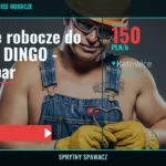 Rękawice robocze do spawania DINGO - nowe, 5 par, Katowice, 150 PLN/h, SprytnySpawacz.pl