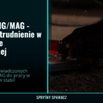 Spawacz MIG/MAG - Stabilne zatrudnienie w dużej firmie produkcyjnej, SprytnySpawacz.pl