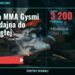 Spawarka MMA Gysmi 200 - Wydajna do pracy ciągłej, Białystok, 3 200 PLN/mies., SprytnySpawacz.pl