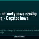 Zlecenie na nietypową rzeźbę metalową - Częstochowa, SprytnySpawacz.pl